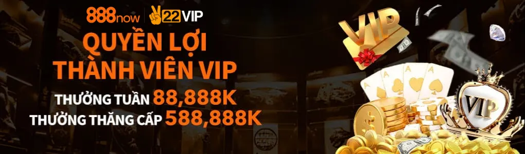 Quyền lợi vip 888now17